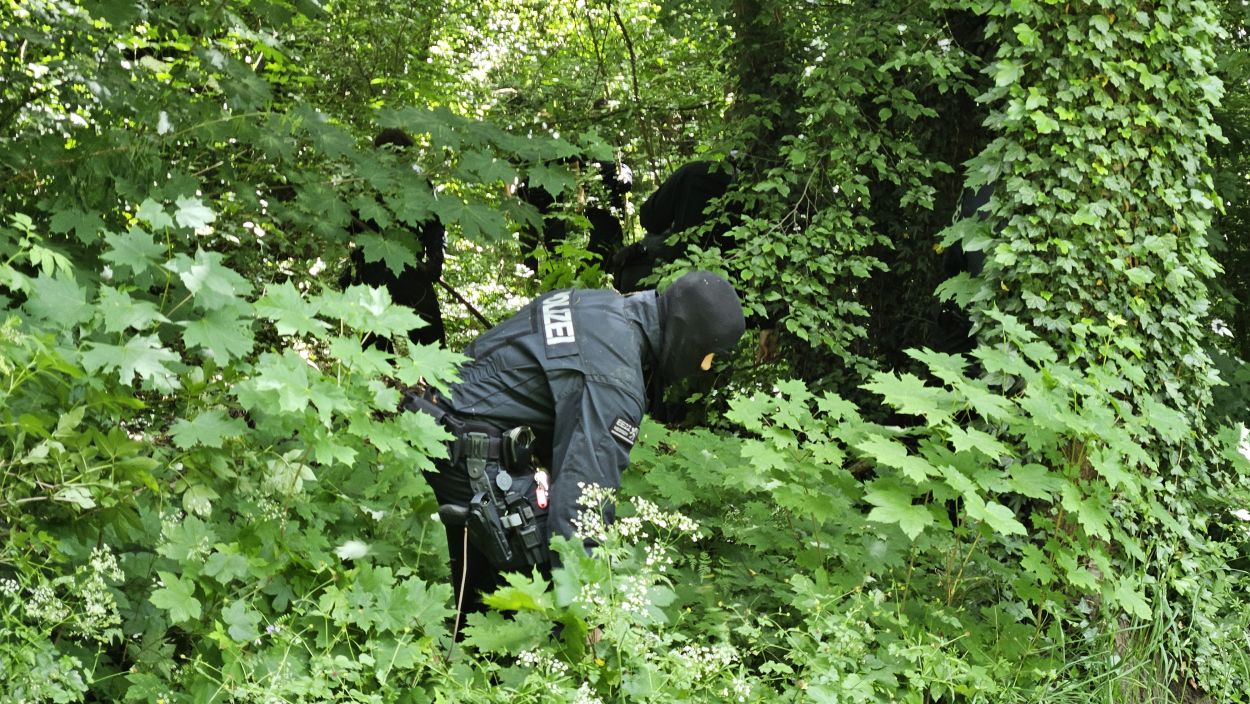 Vorschaubild