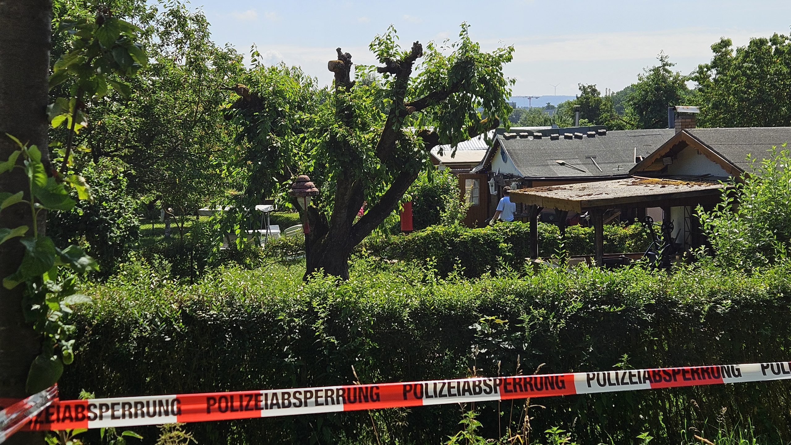 Vorschaubild